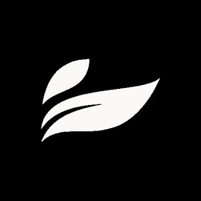 Leef Brands Inc. logo